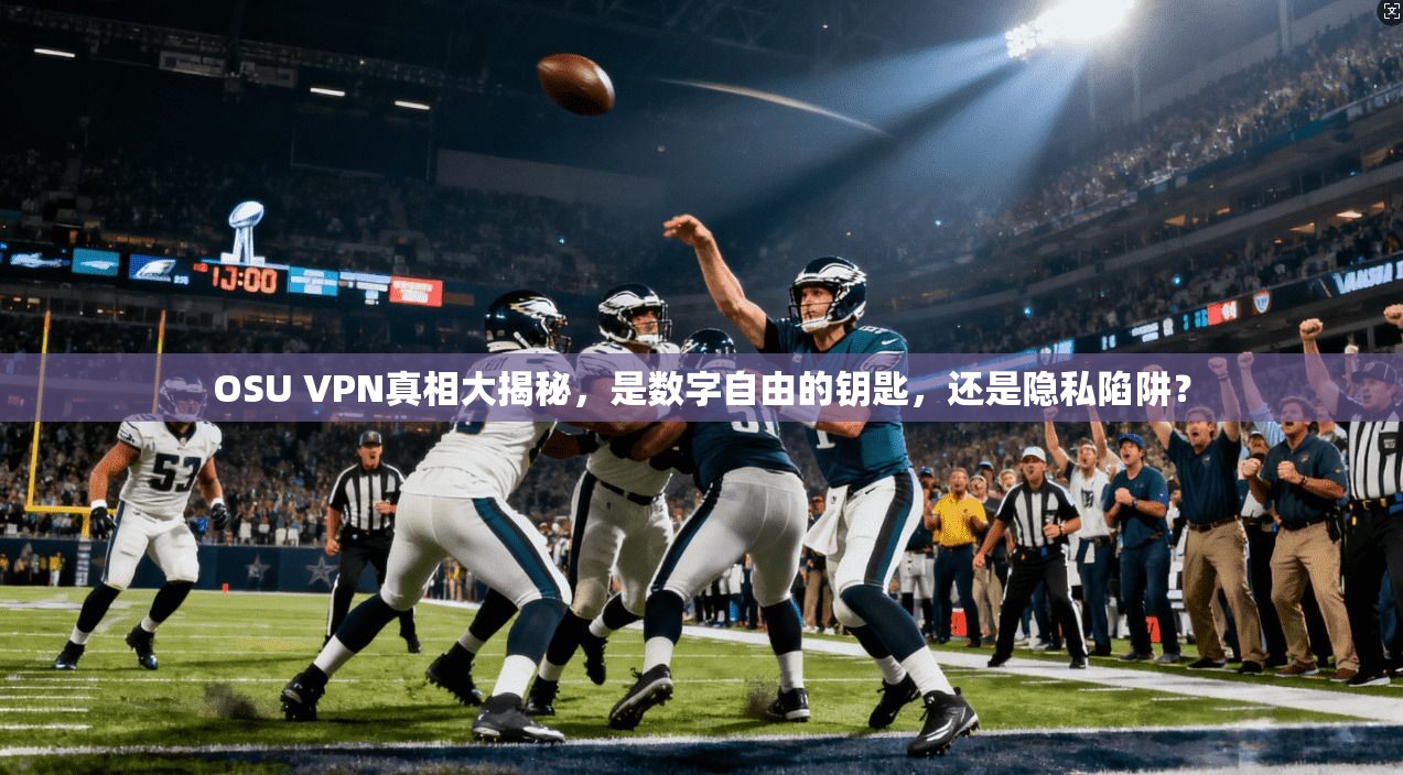OSU VPN真相大揭秘,是数字自由的钥匙,还是隐私陷阱?