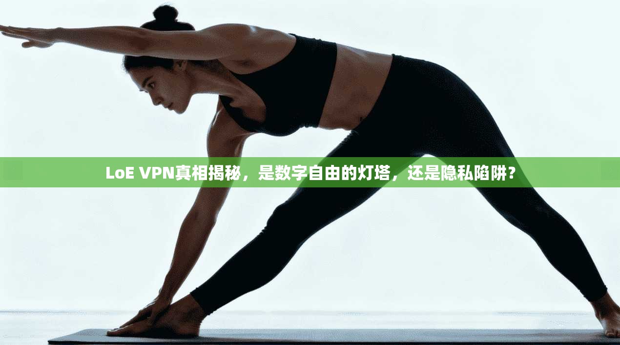 LoE VPN真相揭秘,是数字自由的灯塔,还是隐私陷阱?