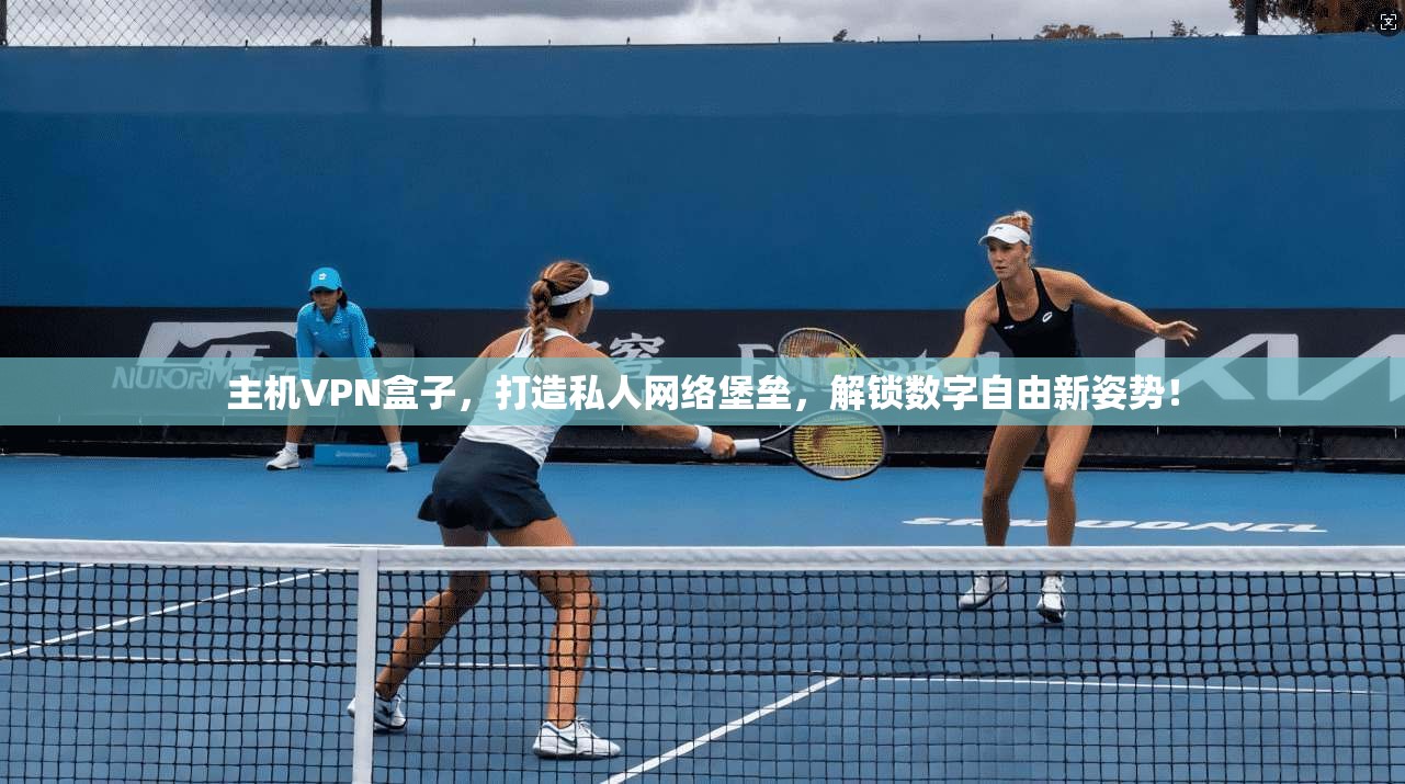主机VPN盒子,打造私人网络堡垒,解锁数字自由新姿势!