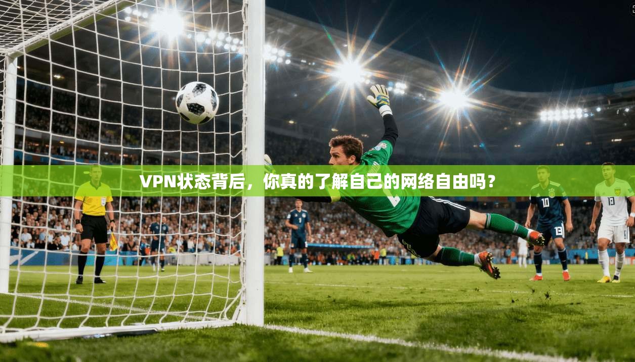 VPN状态背后，你真的了解自己的网络自由吗？