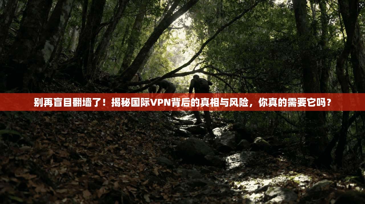 别再盲目翻墙了!揭秘国际VPN背后的真相与风险,你真的需要它吗? 别再盲目翻墙了!揭秘国际VPN背后的真相与风险,你真的需要它吗?