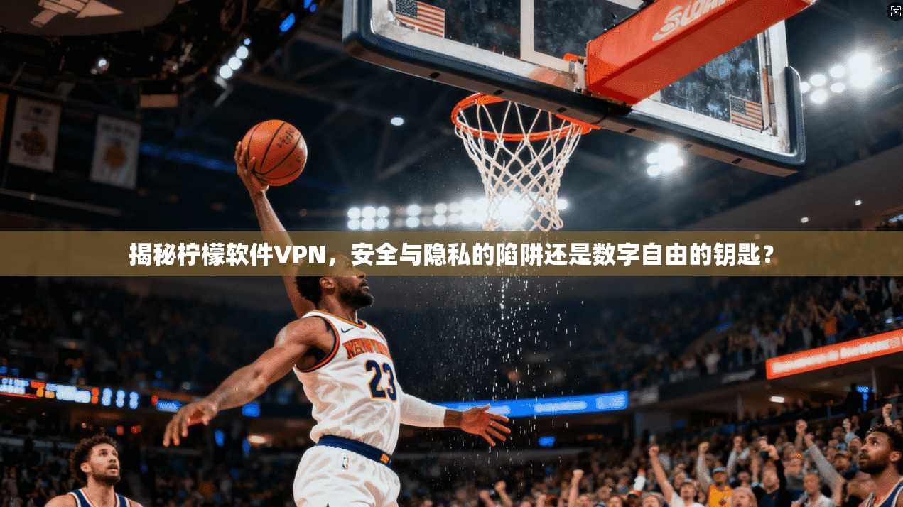 揭秘柠檬软件VPN，安全与隐私的陷阱还是数字自由的钥匙？