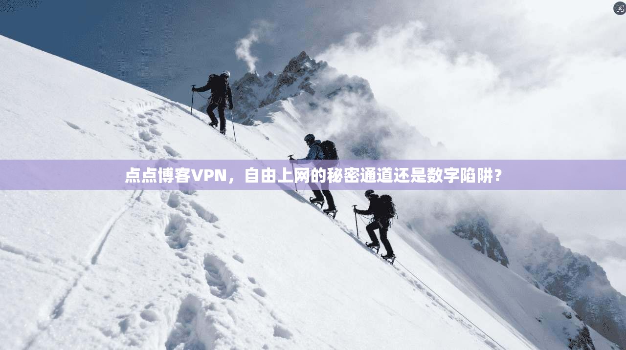 点点博客VPN，自由上网的秘密通道还是数字陷阱？