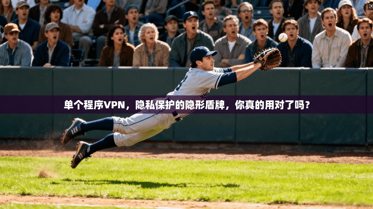 单个程序VPN，隐私保护的隐形盾牌，你真的用对了吗？