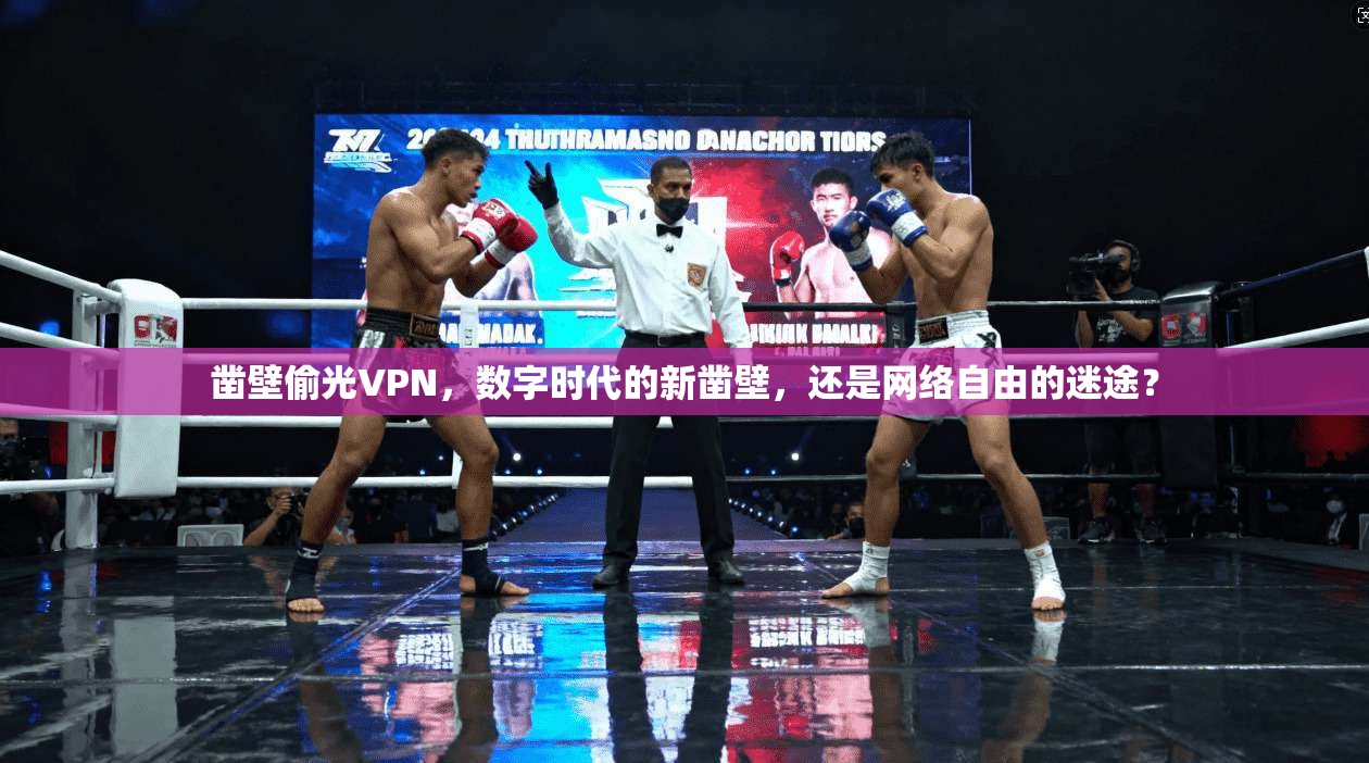 凿壁偷光VPN，数字时代的新凿壁，还是网络自由的迷途？