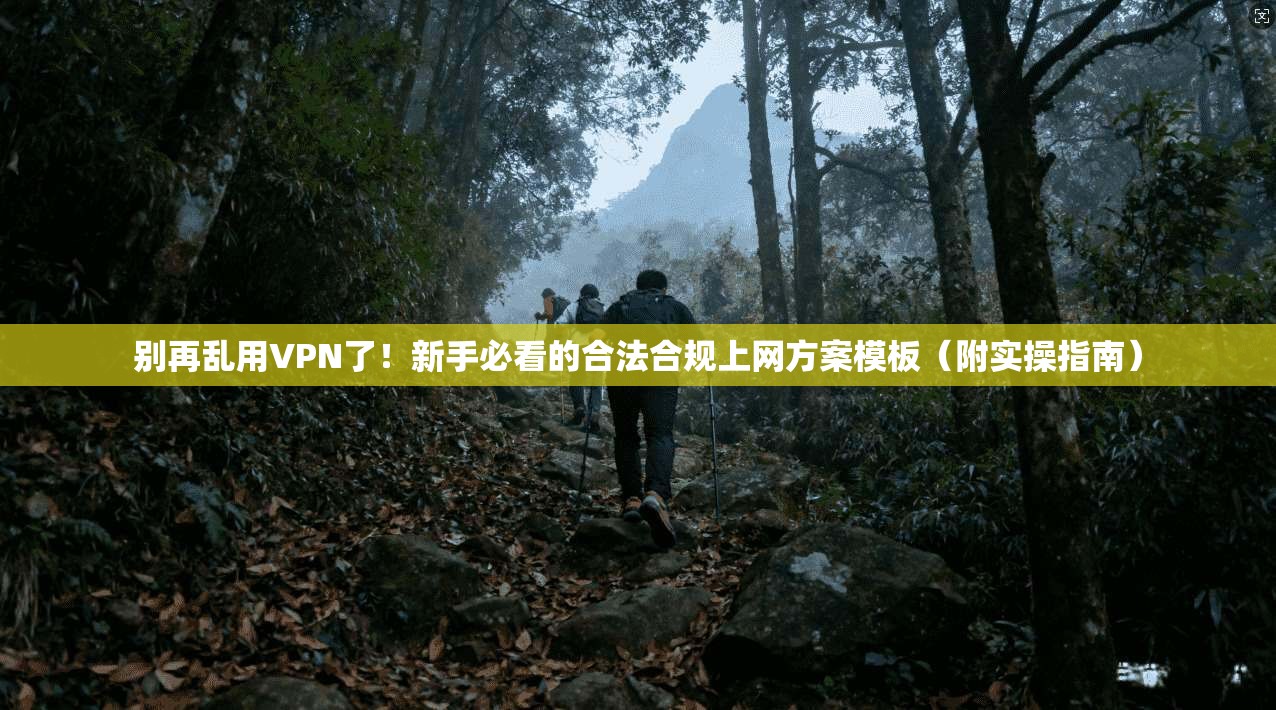 别再乱用VPN了！新手必看的合法合规上网方案模板（附实操指南）