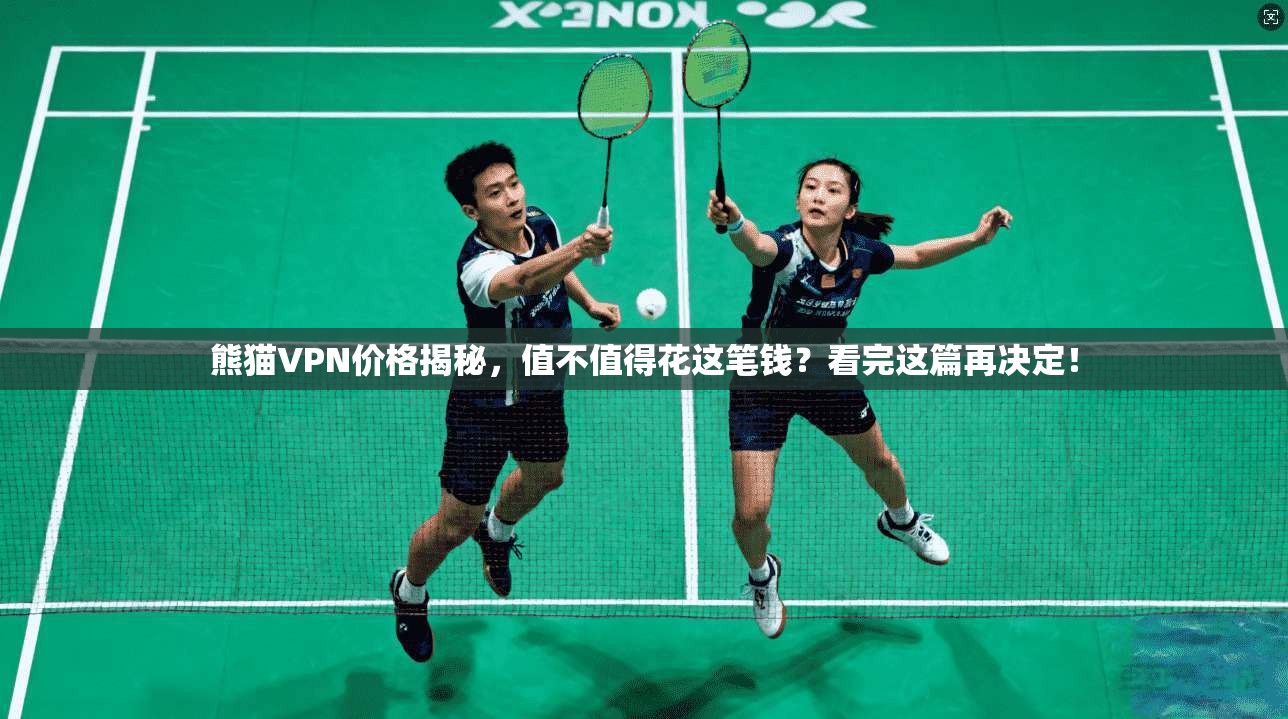 熊猫VPN价格揭秘,值不值得花这笔钱?看完这篇再决定!