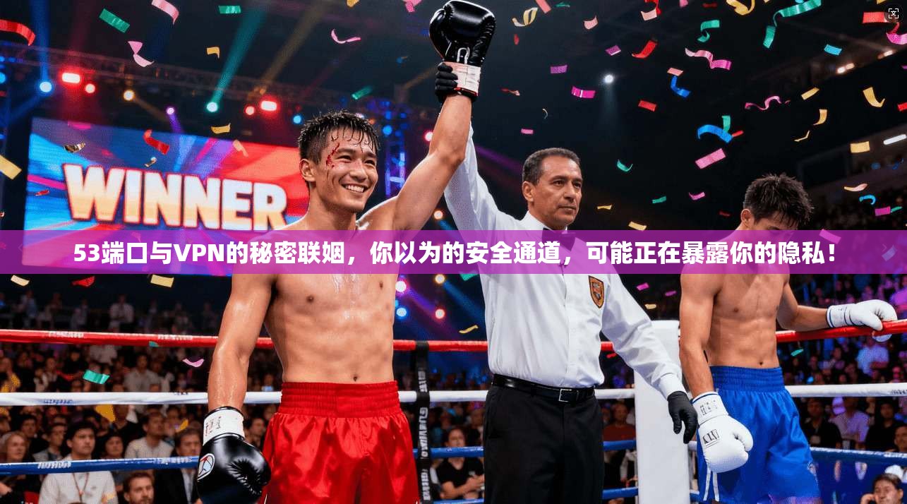 53端口与VPN的秘密联姻，你以为的安全通道，可能正在暴露你的隐私！
