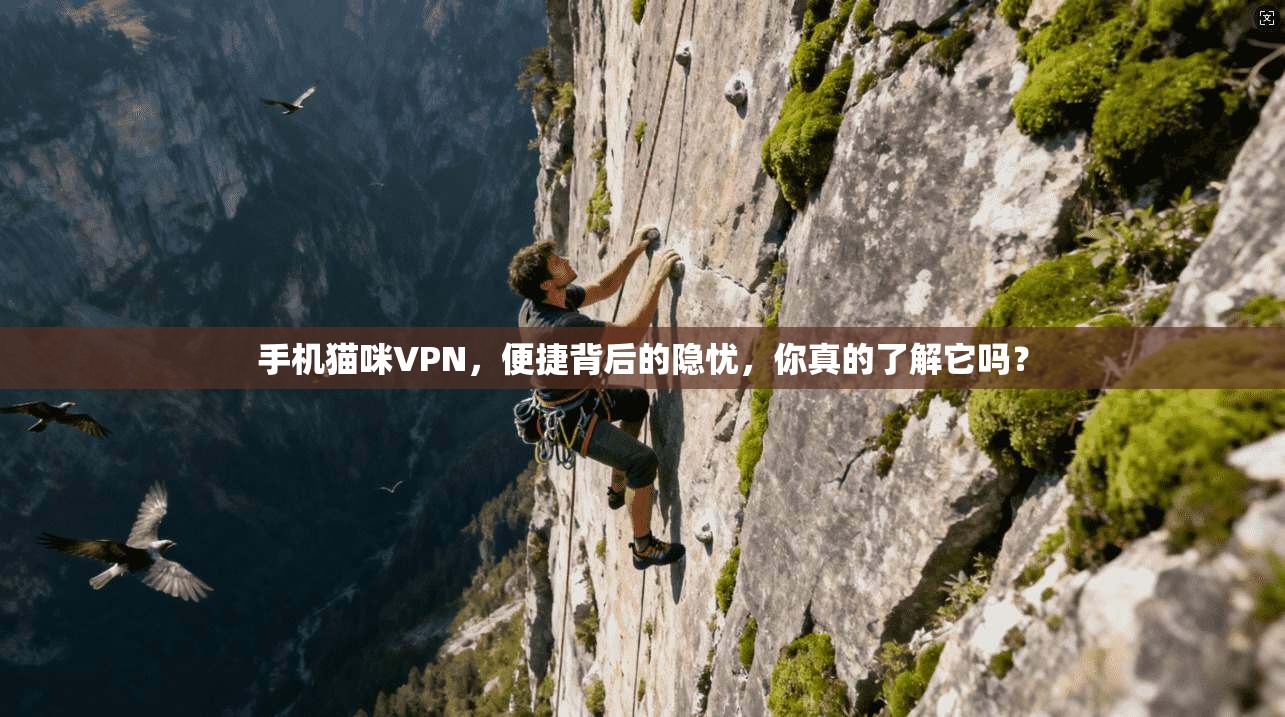 手机猫咪VPN，便捷背后的隐忧，你真的了解它吗？