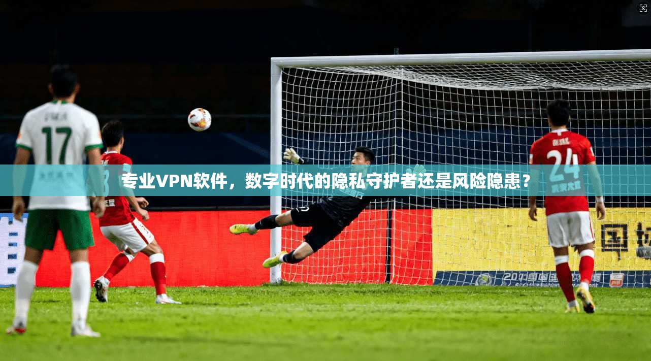 专业VPN软件,数字时代的隐私守护者还是风险隐患? 专业VPN软件,数字时代的隐私守护者还是风险隐患?