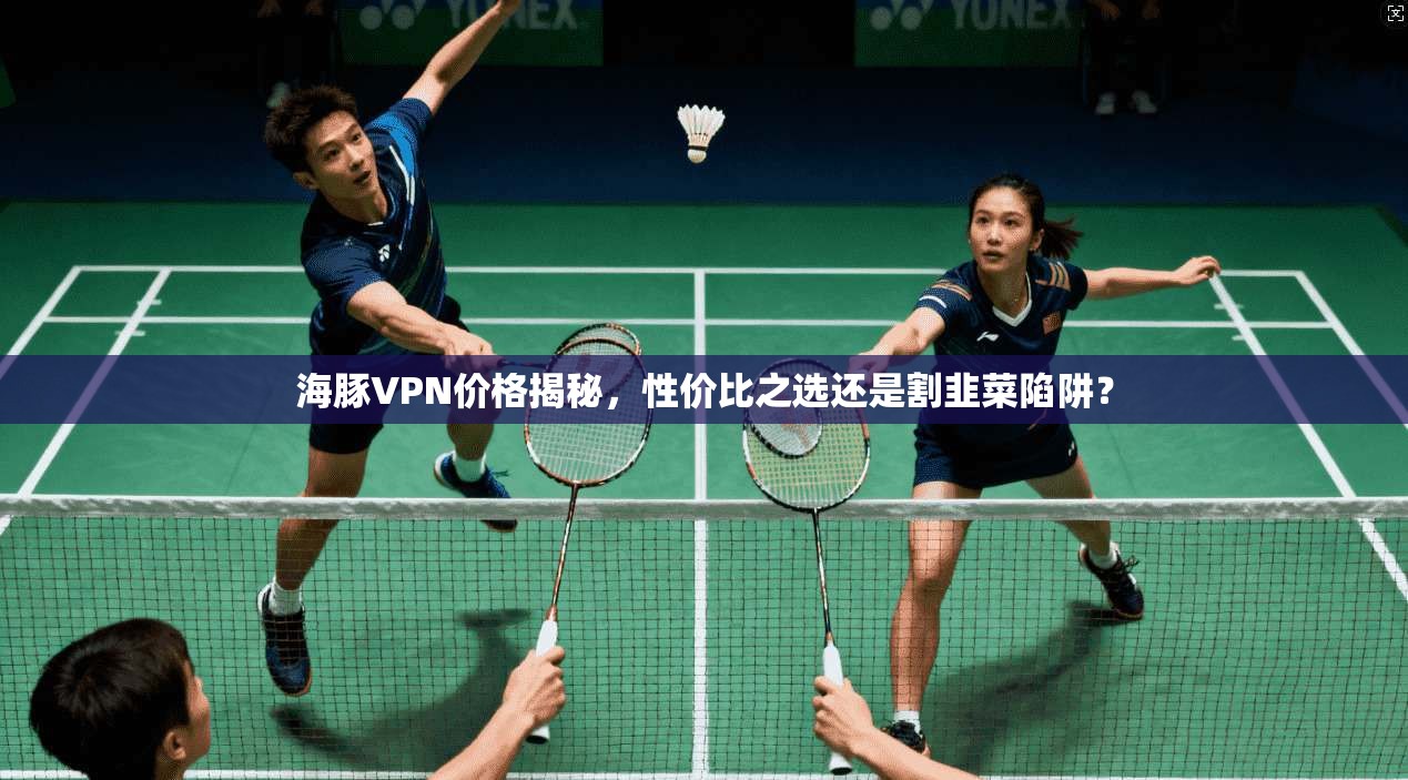 海豚VPN价格揭秘,性价比之选还是割韭菜陷阱? 海豚VPN价格揭秘,性价比之选还是割韭菜陷阱?