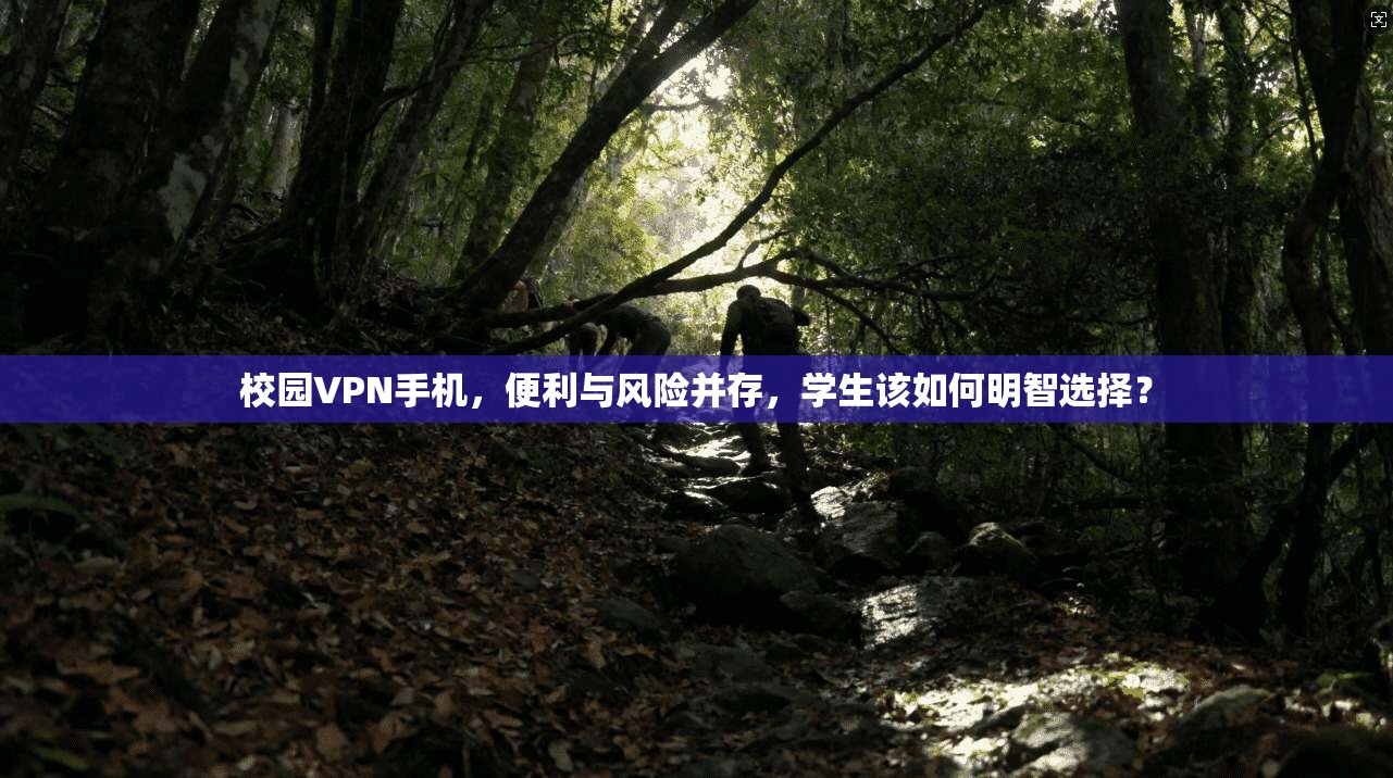 校园VPN手机，便利与风险并存，学生该如何明智选择？