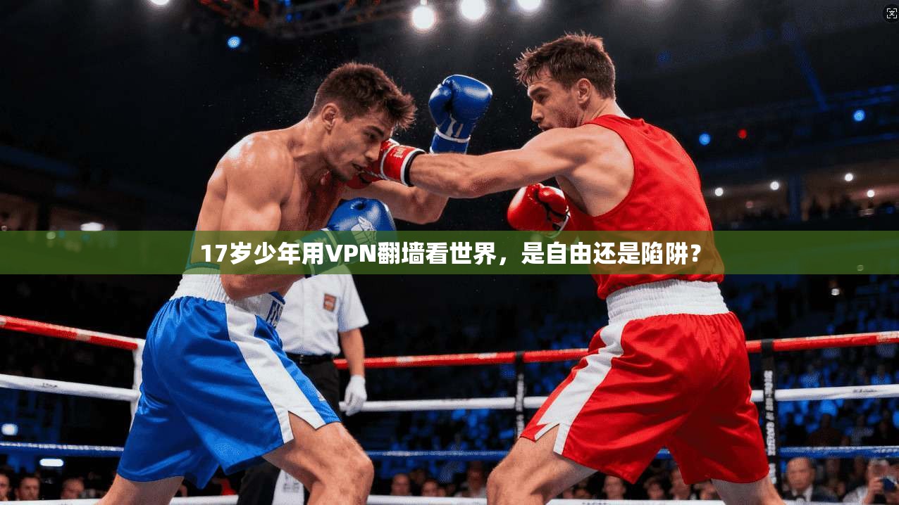 17岁少年用VPN翻墙看世界，是自由还是陷阱？