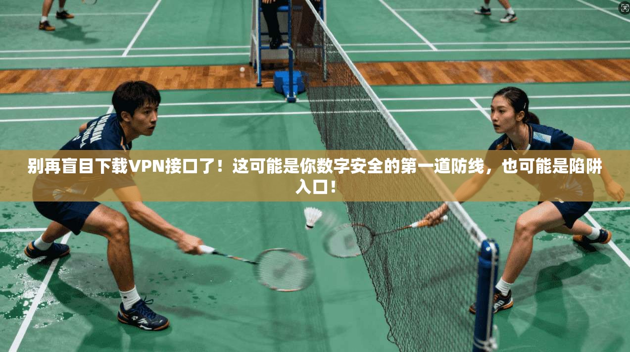 别再盲目下载VPN接口了！这可能是你数字安全的第一道防线，也可能是陷阱入口！