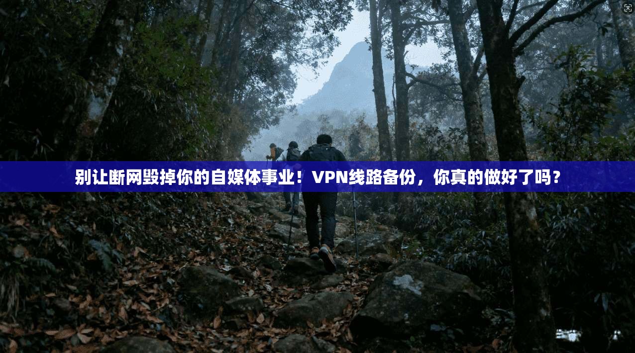 别让断网毁掉你的自媒体事业！VPN线路备份，你真的做好了吗？