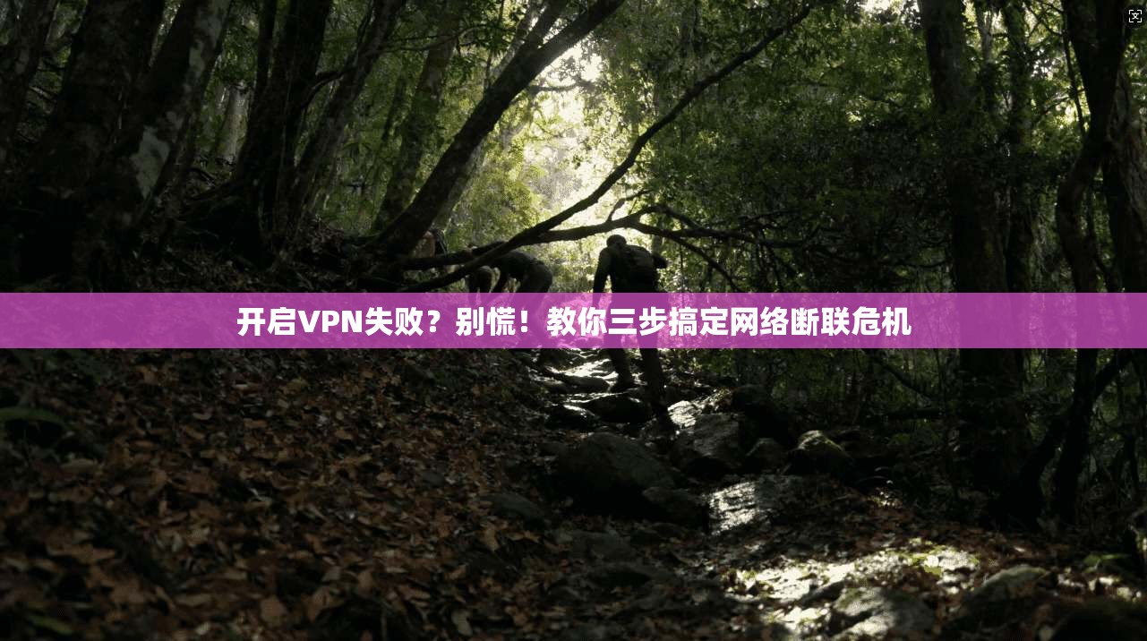 开启VPN失败？别慌！教你三步搞定网络断联危机