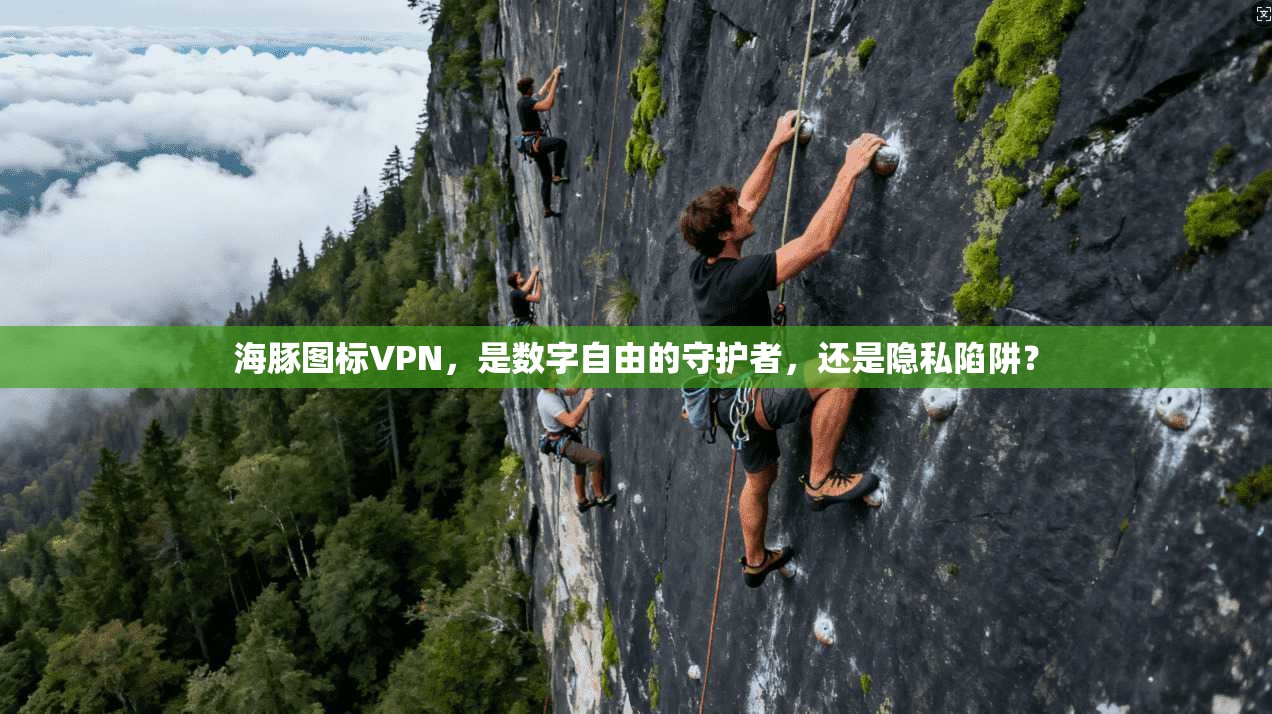 海豚图标VPN，是数字自由的守护者，还是隐私陷阱？