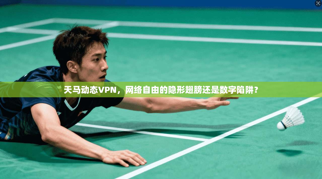 天马动态VPN，网络自由的隐形翅膀还是数字陷阱？