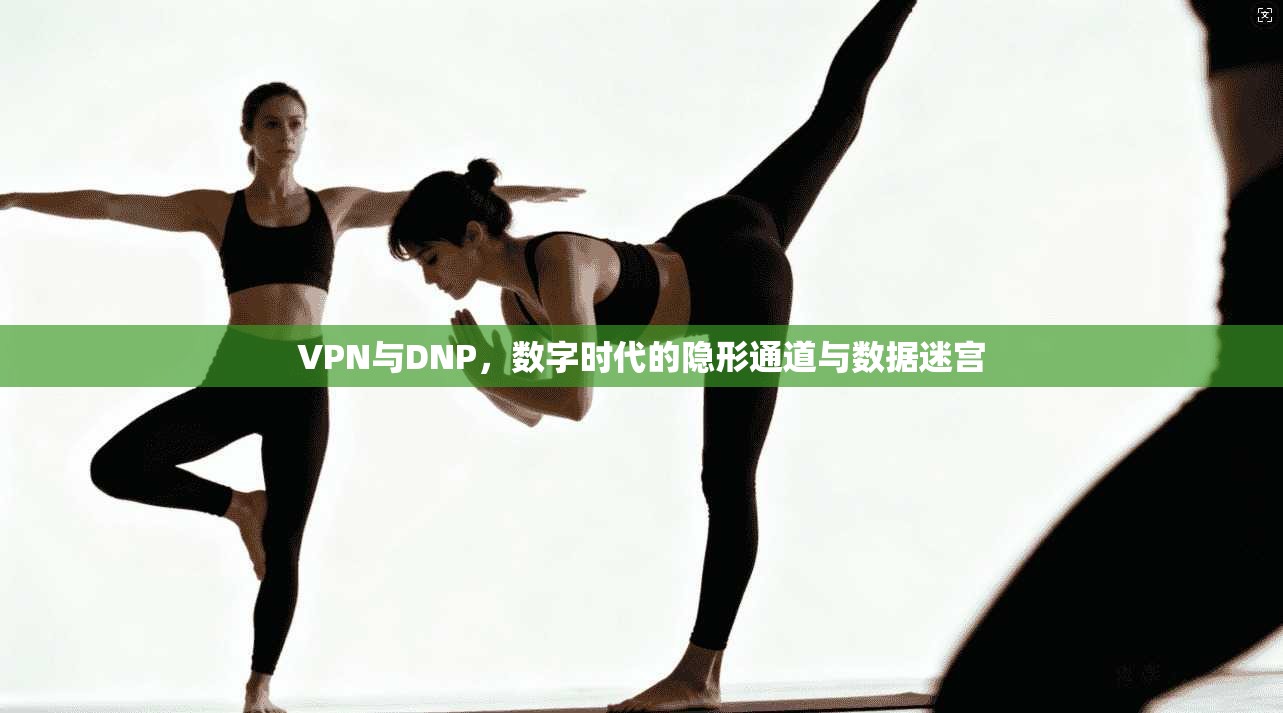 VPN与DNP，数字时代的隐形通道与数据迷宫