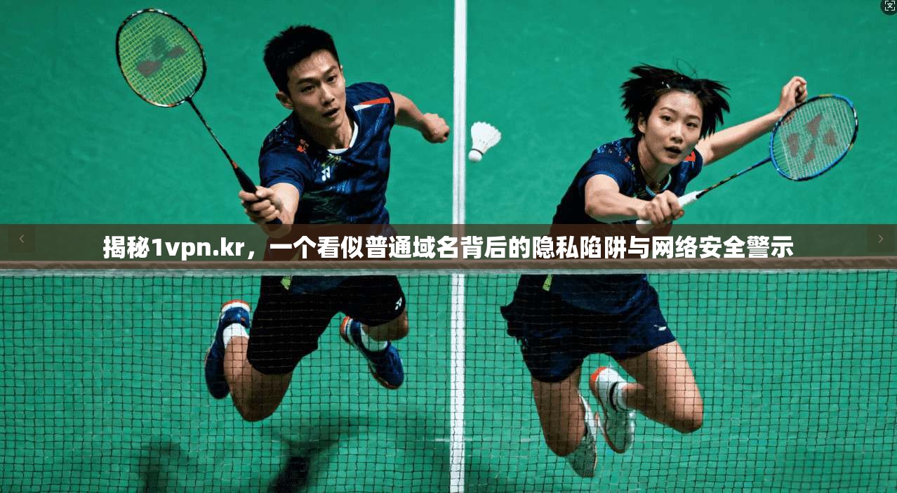 揭秘1vpn.kr，一个看似普通域名背后的隐私陷阱与网络安全警示