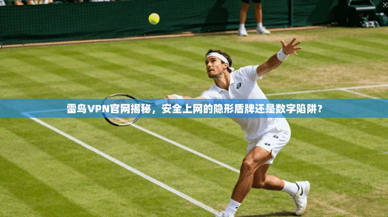 雷鸟VPN官网揭秘，安全上网的隐形盾牌还是数字陷阱？