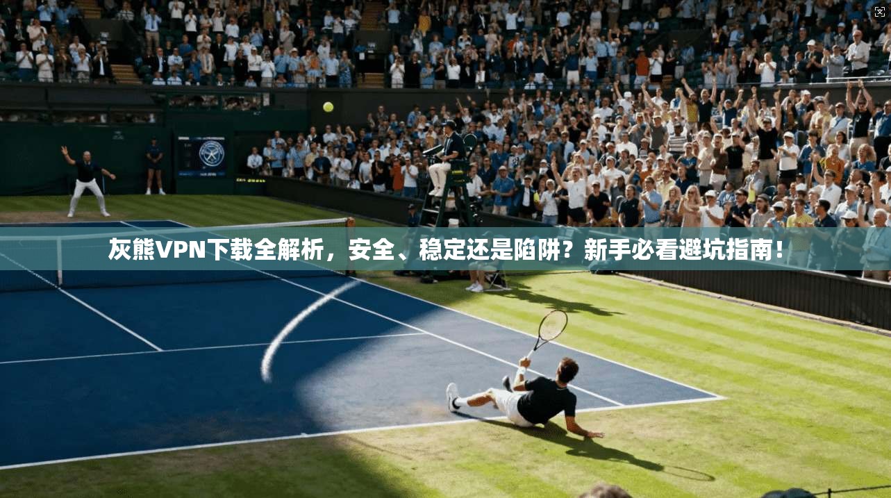 灰熊VPN下载全解析，安全、稳定还是陷阱？新手必看避坑指南！
