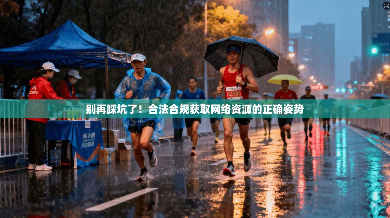 别再踩坑了！合法合规获取网络资源的正确姿势