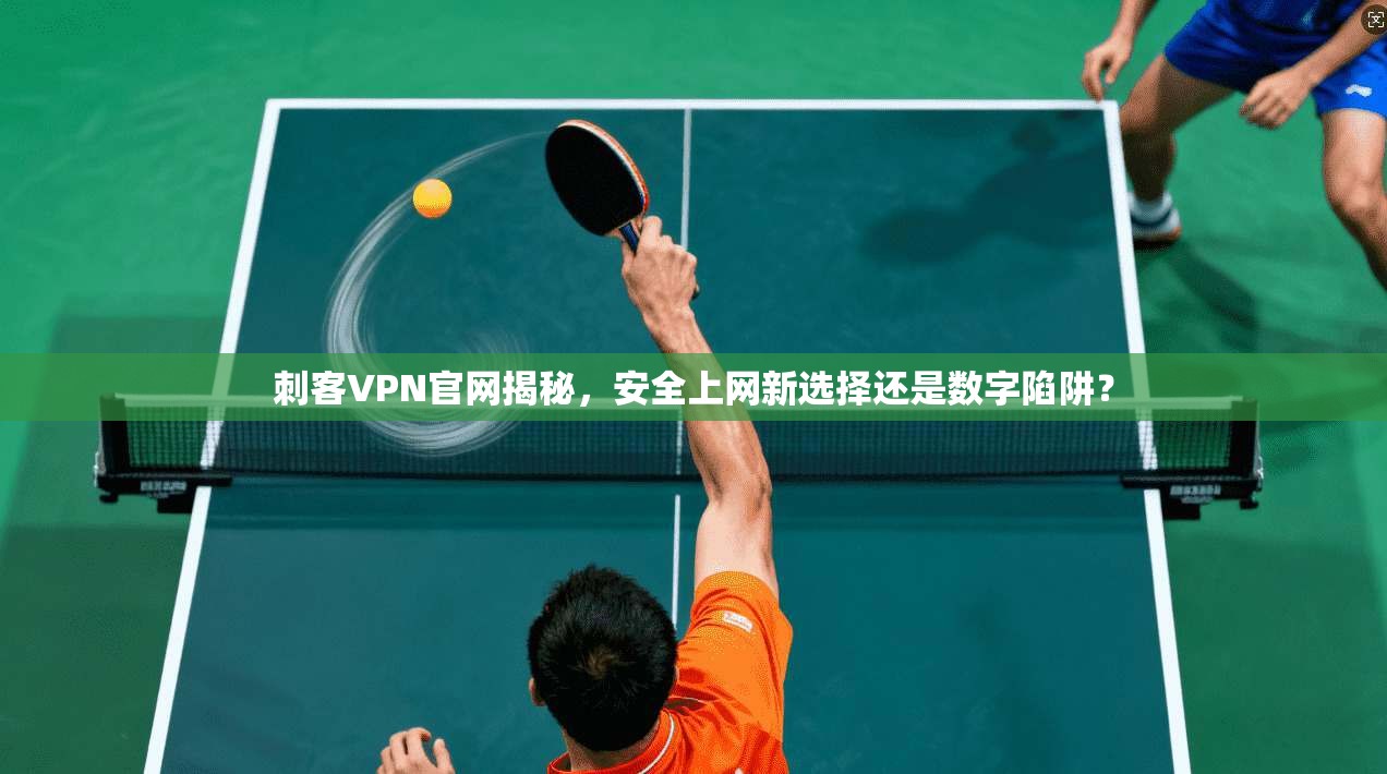 刺客VPN官网揭秘，安全上网新选择还是数字陷阱？