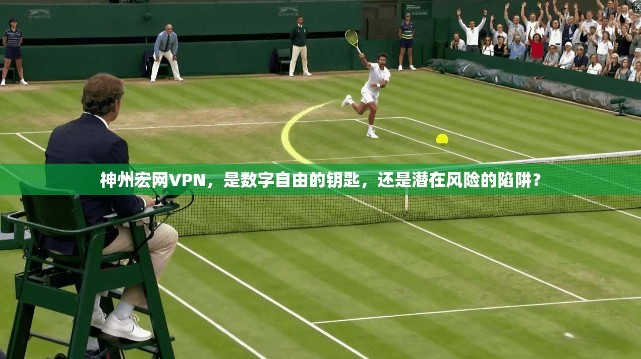 神州宏网VPN，是数字自由的钥匙，还是潜在风险的陷阱？