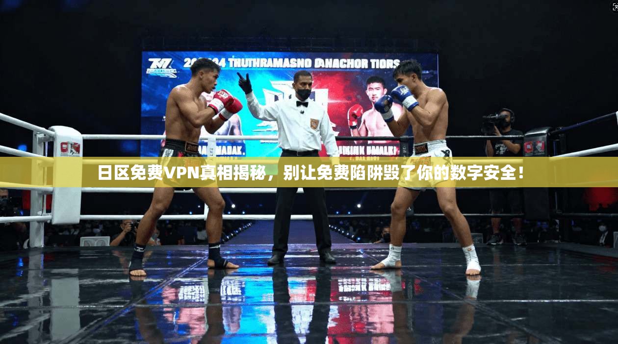 日区免费VPN真相揭秘,别让免费陷阱毁了你的数字安全!