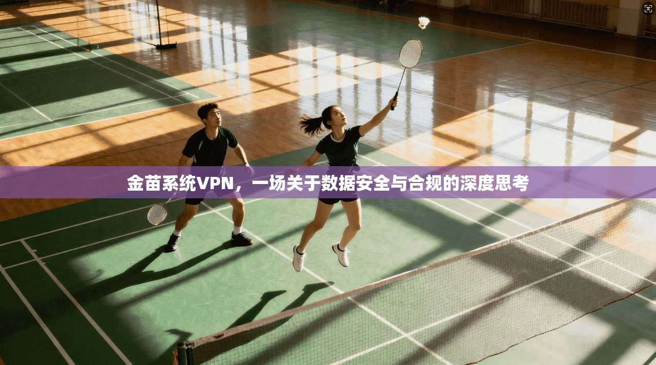 金苗系统VPN,一场关于数据安全与合规的深度思考