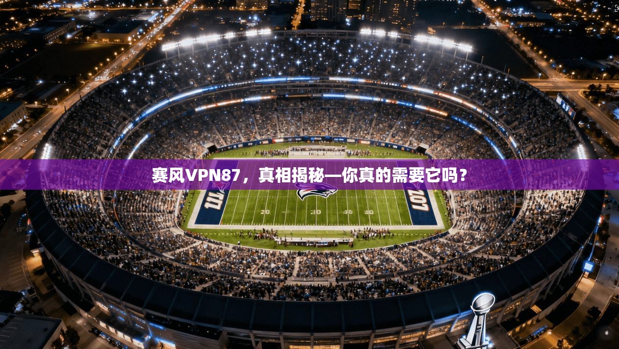 赛风VPN87，真相揭秘—你真的需要它吗？