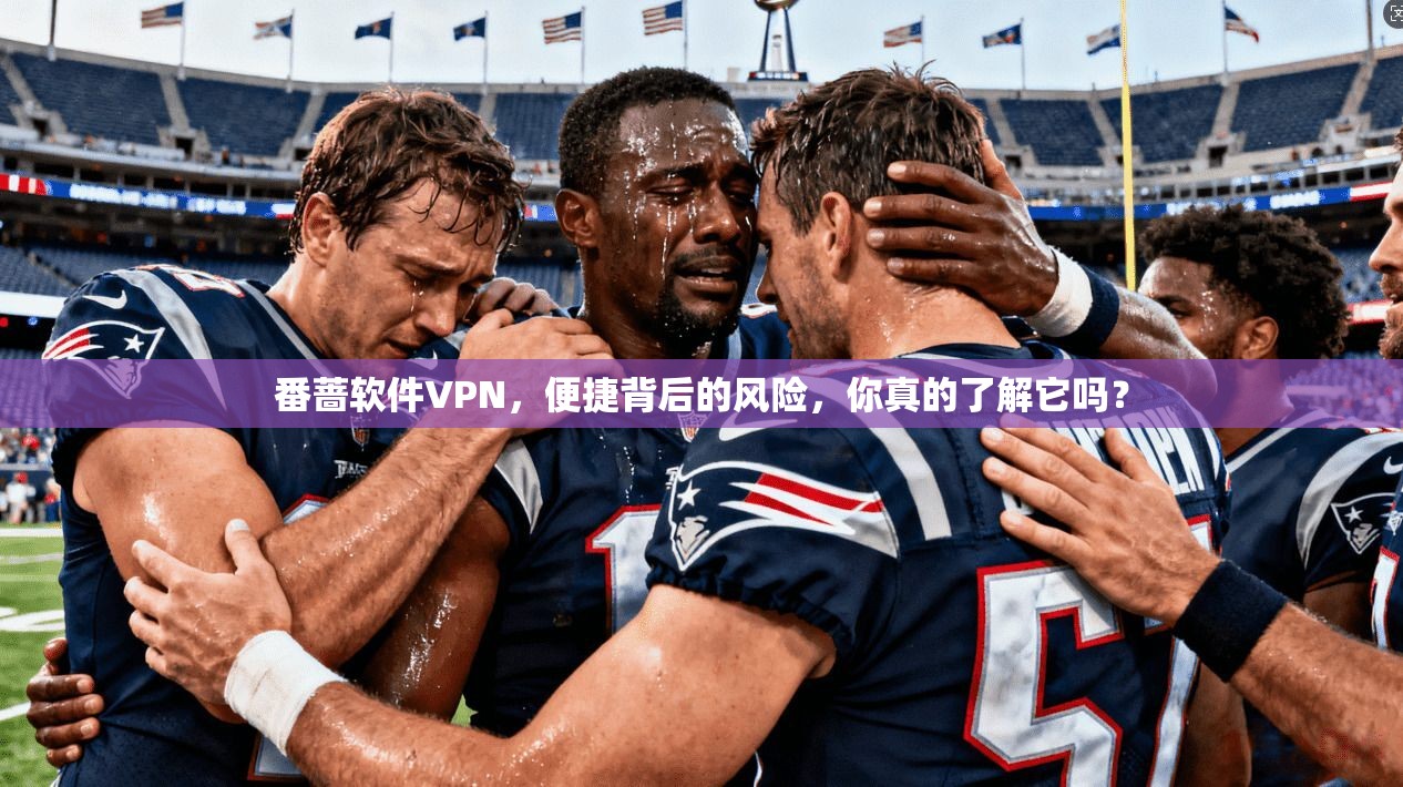 番蔷软件VPN，便捷背后的风险，你真的了解它吗？