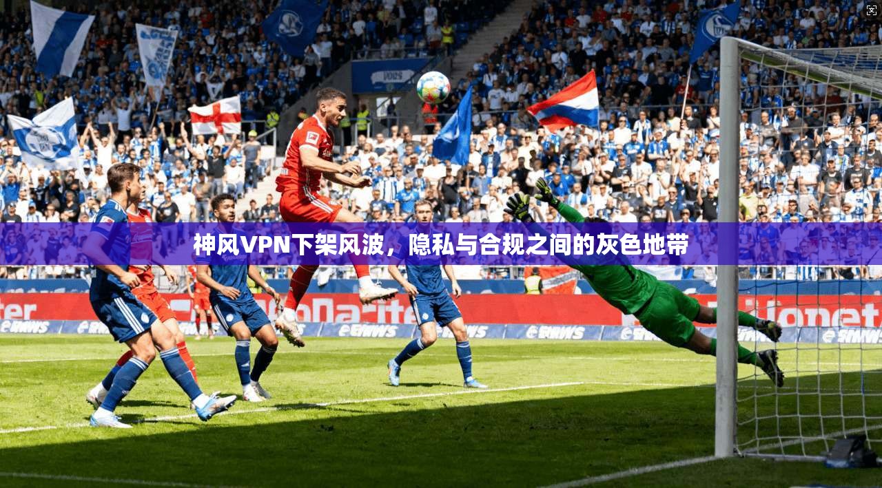 神风VPN下架风波，隐私与合规之间的灰色地带