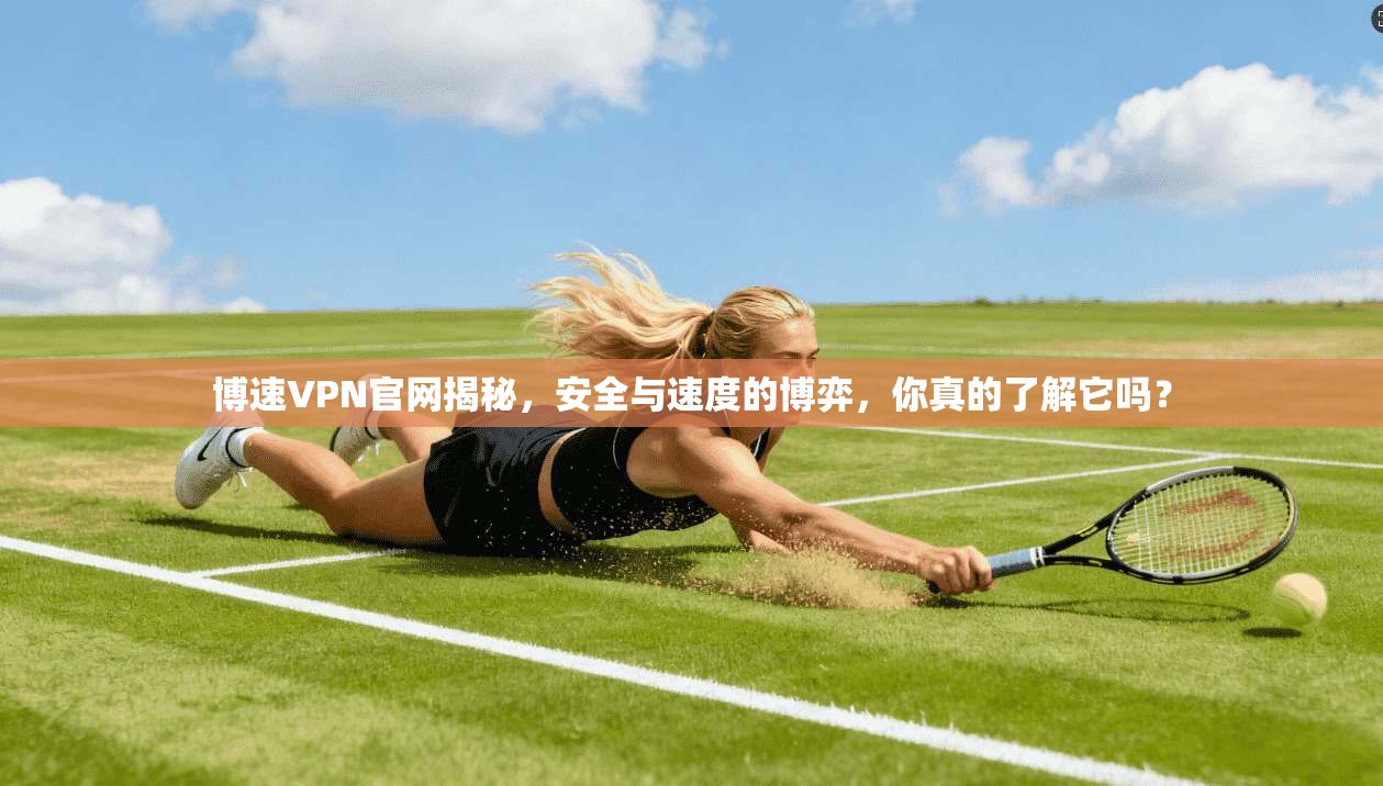 博速VPN官网揭秘，安全与速度的博弈，你真的了解它吗？