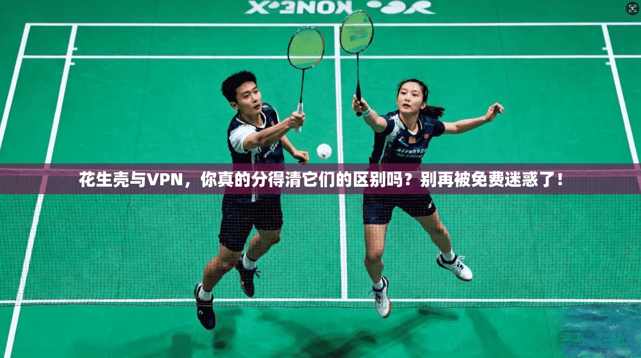 花生壳与VPN，你真的分得清它们的区别吗？别再被免费迷惑了！