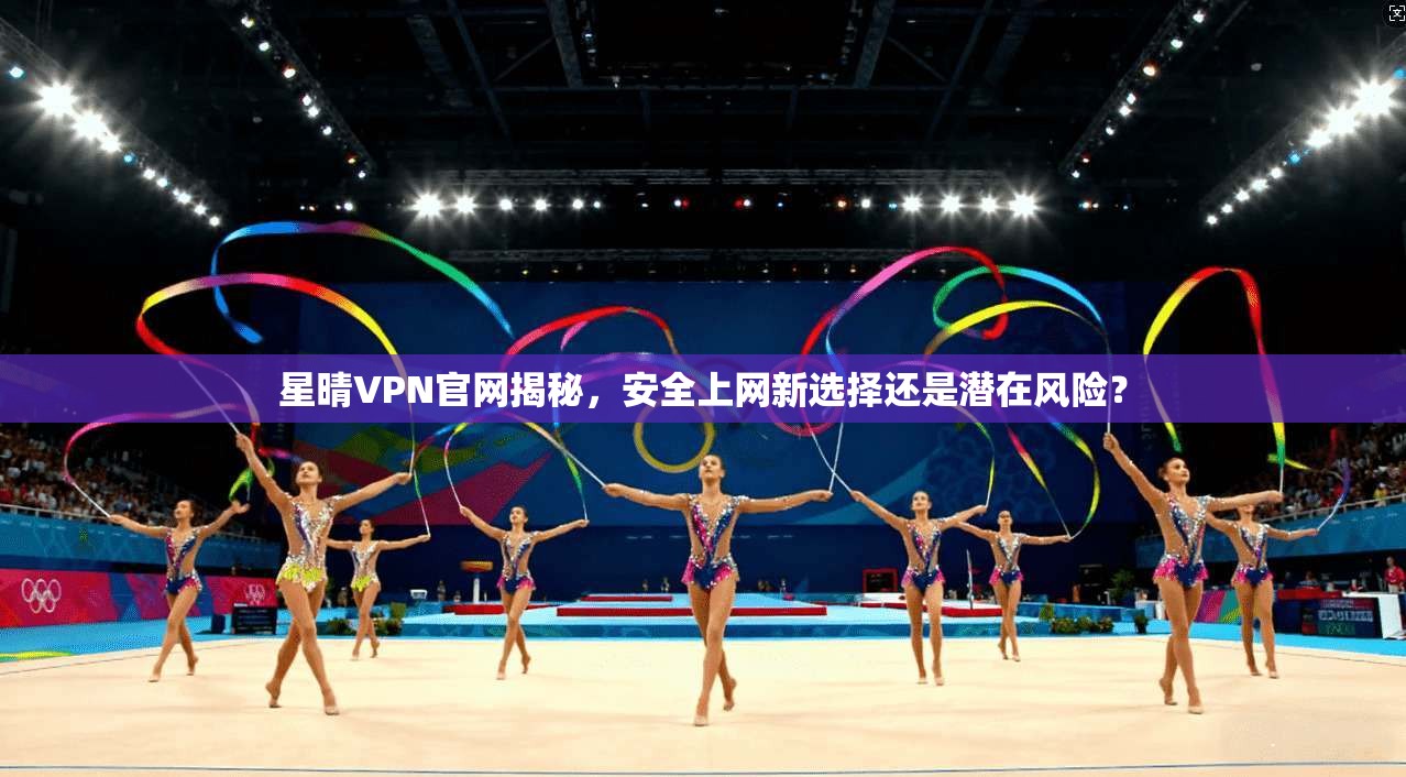 星晴VPN官网揭秘，安全上网新选择还是潜在风险？