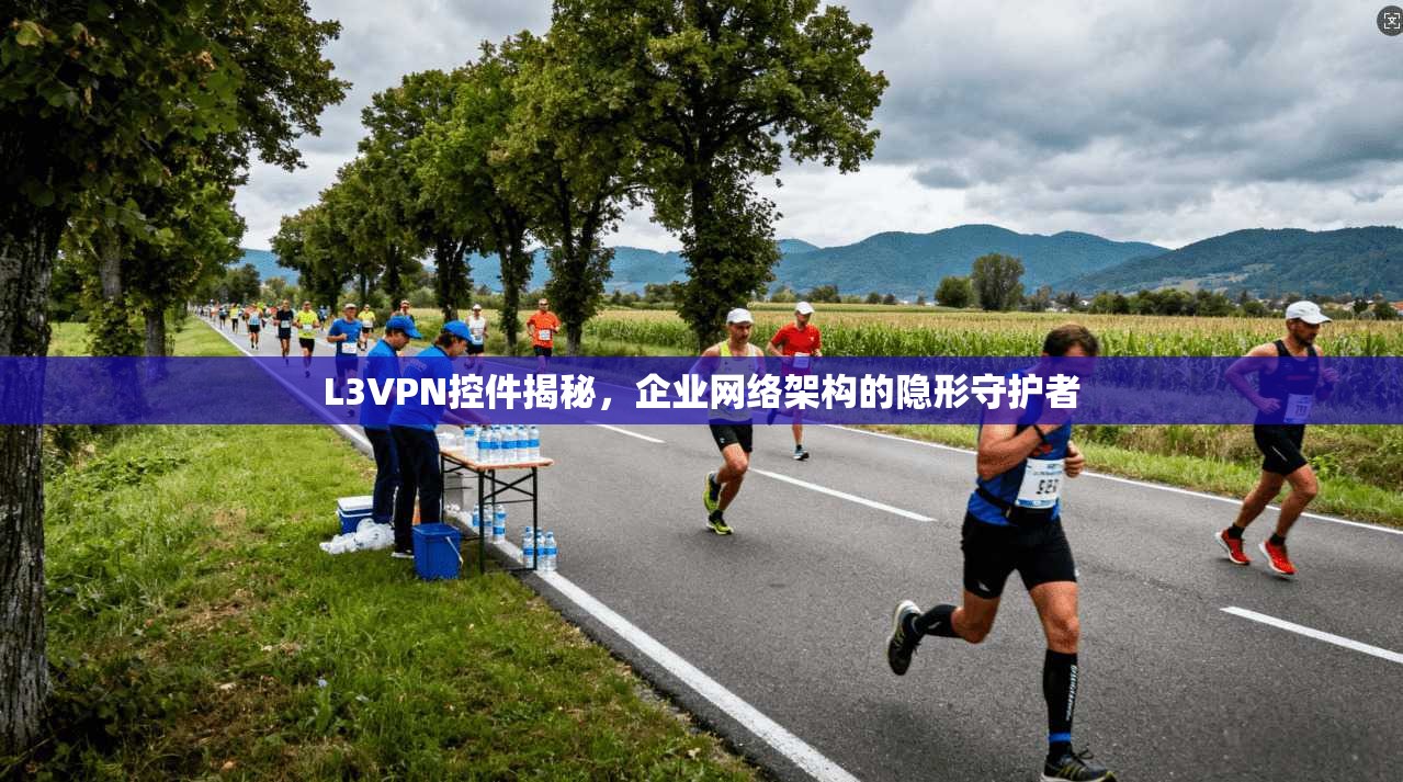 L3VPN控件揭秘，企业网络架构的隐形守护者