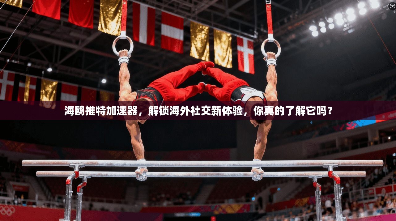 海鸥推特加速器，解锁海外社交新体验，你真的了解它吗？