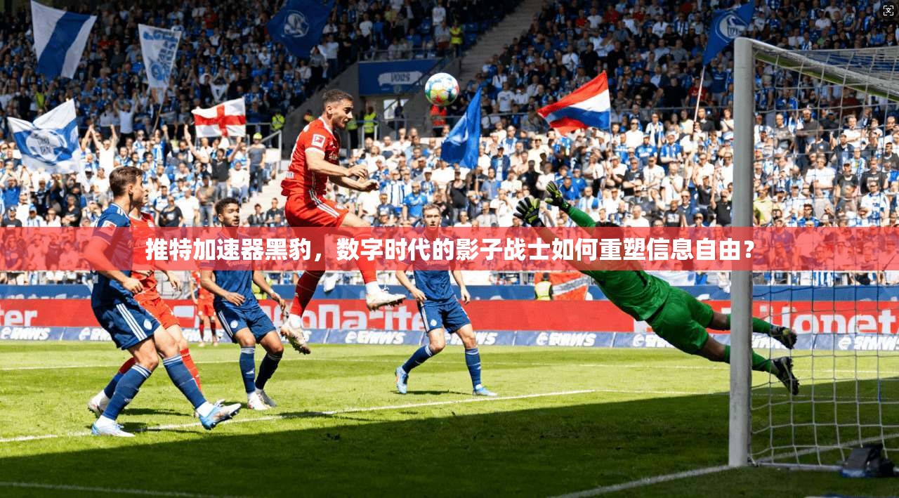 推特加速器黑豹，数字时代的影子战士如何重塑信息自由？