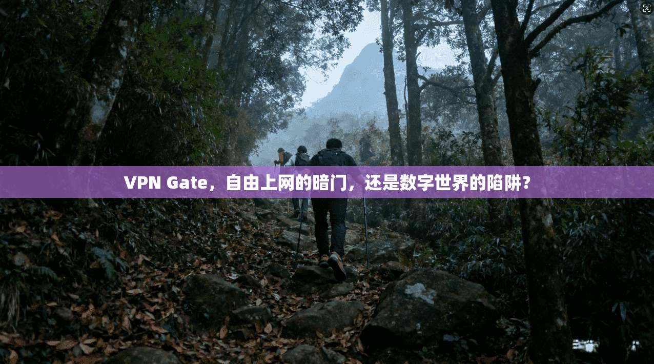 VPN Gate,自由上网的暗门,还是数字世界的陷阱? VPN Gate,自由上网的暗门,还是数字世界的陷阱?