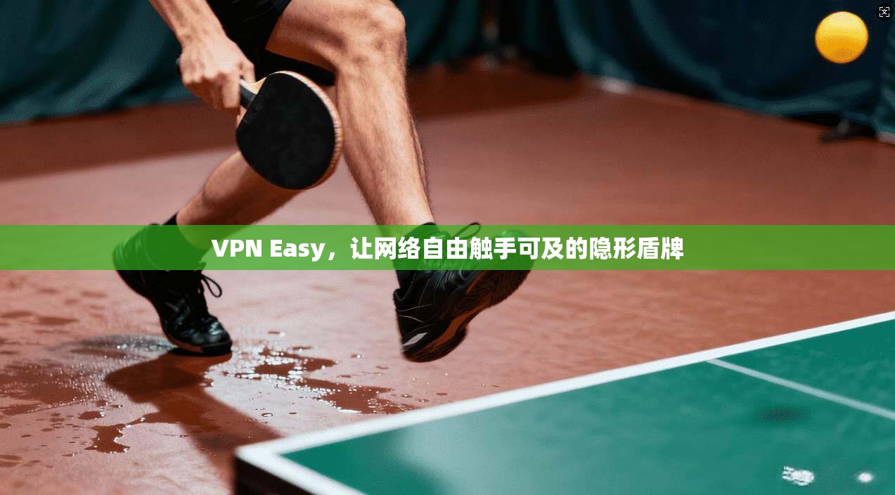 VPN Easy，让网络自由触手可及的隐形盾牌