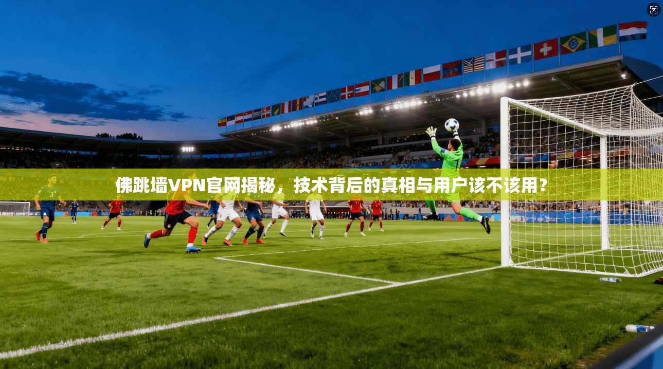 佛跳墙VPN官网揭秘，技术背后的真相与用户该不该用？