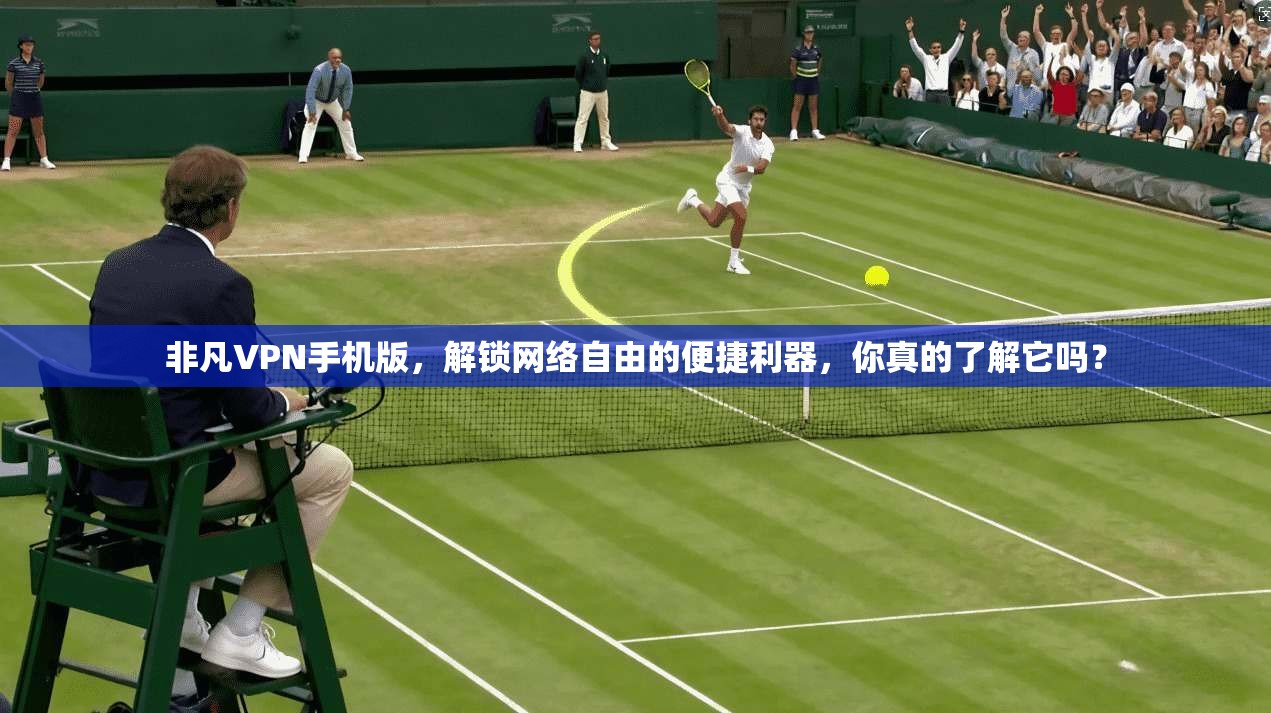 非凡VPN手机版，解锁网络自由的便捷利器，你真的了解它吗？