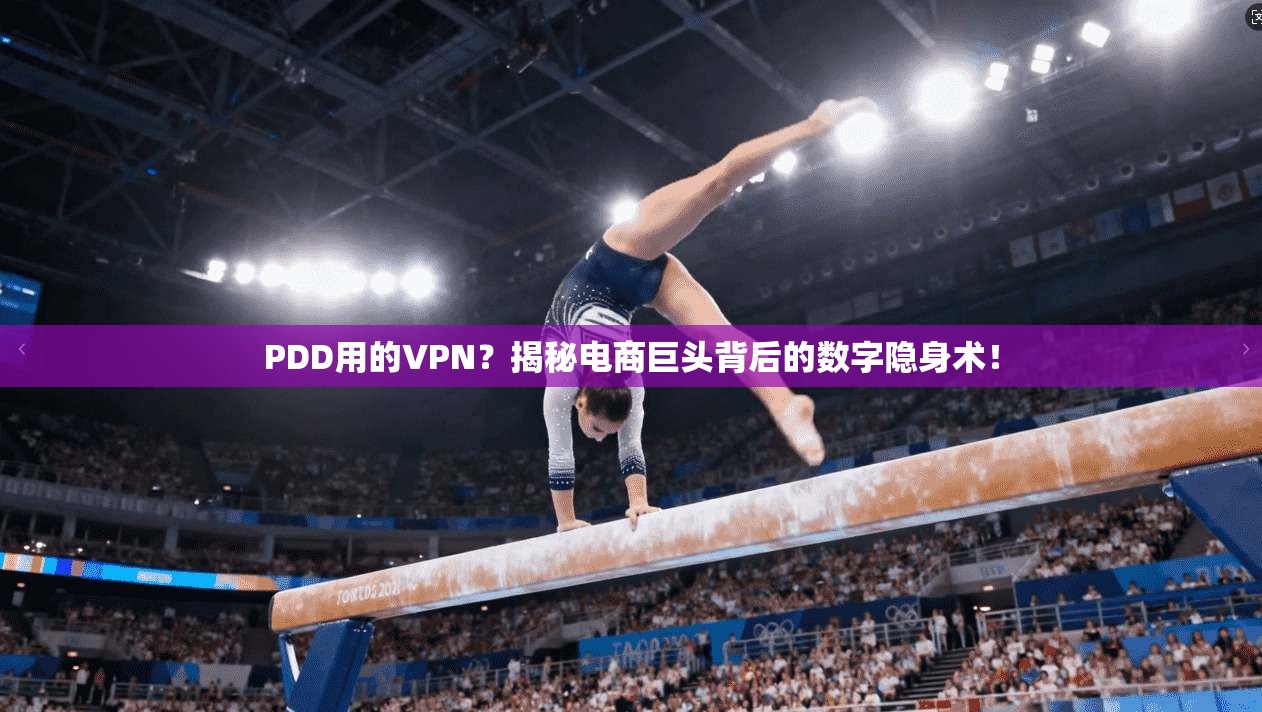 PDD用的VPN？揭秘电商巨头背后的数字隐身术！