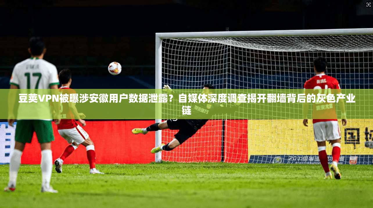 豆荚VPN被曝涉安徽用户数据泄露？自媒体深度调查揭开翻墙背后的灰色产业链