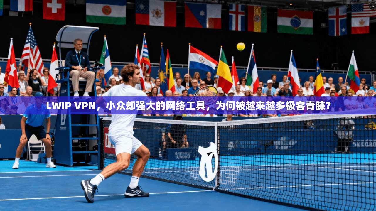 LWIP VPN,小众却强大的网络工具,为何被越来越多极客青睐?