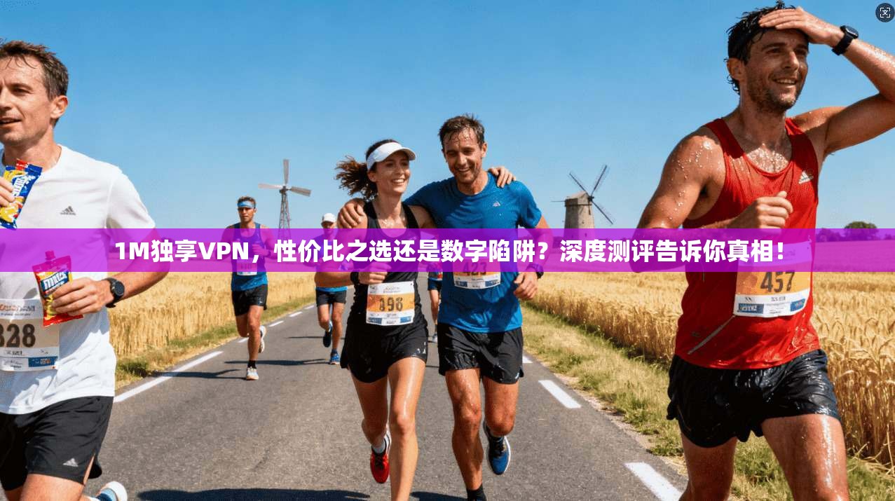 1M独享VPN，性价比之选还是数字陷阱？深度测评告诉你真相！