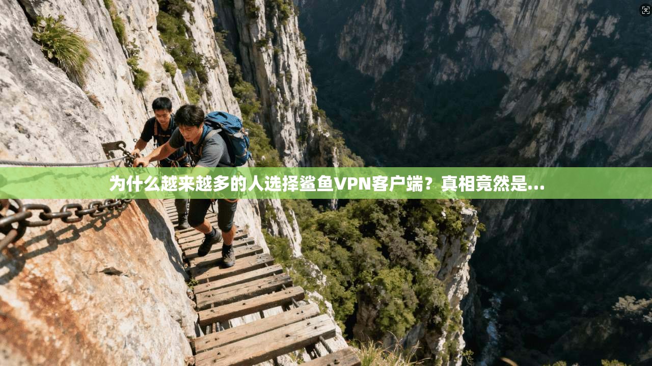 为什么越来越多的人选择鲨鱼VPN客户端？真相竟然是…
