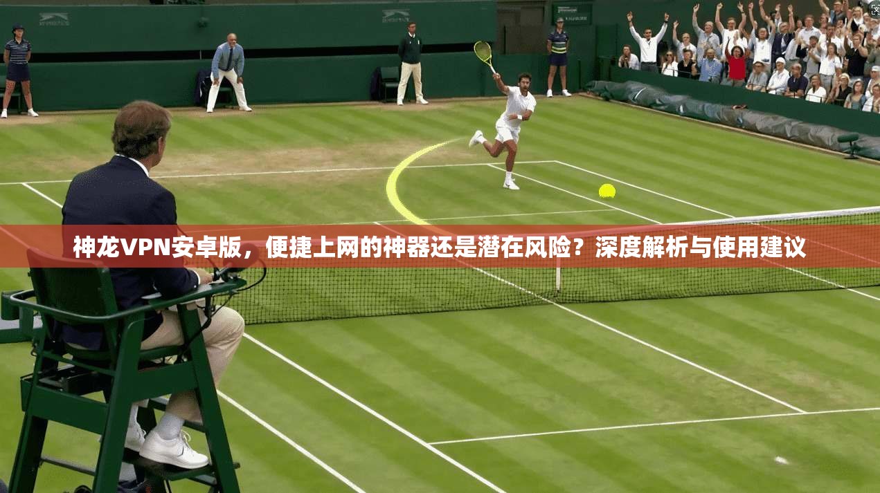 神龙VPN安卓版，便捷上网的神器还是潜在风险？深度解析与使用建议